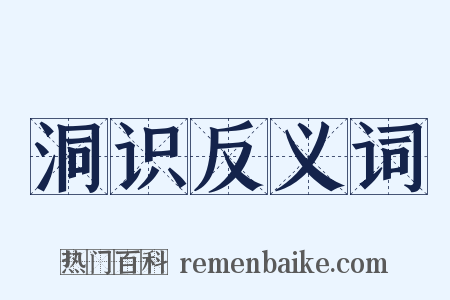 洞识反义词是什么意思的图片